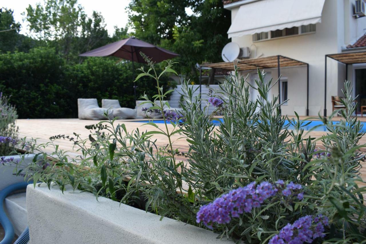 Serenity Luxury Villa, Skiathos Agia Paraskevi  Exterior foto