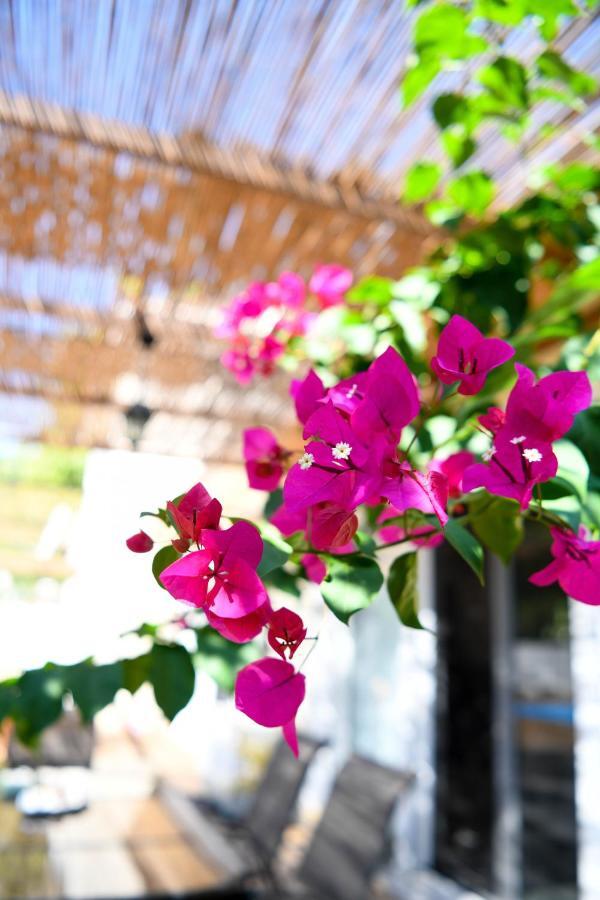Serenity Luxury Villa, Skiathos Agia Paraskevi  Exterior foto