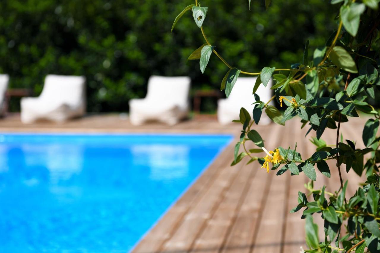 Serenity Luxury Villa, Skiathos Agia Paraskevi  Exterior foto